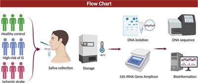 The oral microbiome of patients with ischemic stroke predicts their severity and prognosis